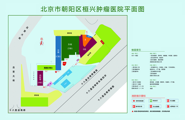 摸发育成熟胸操了她黄色网站北京市朝阳区桓兴肿瘤医院平面图